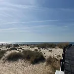 De Miramar Tavira